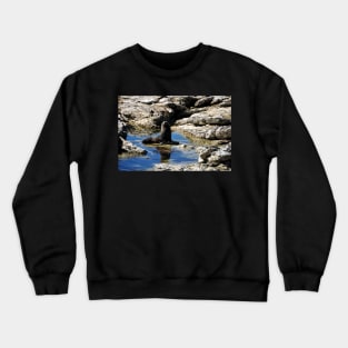 Nouvelle Zélande - Péninsule de Kaikura Crewneck Sweatshirt